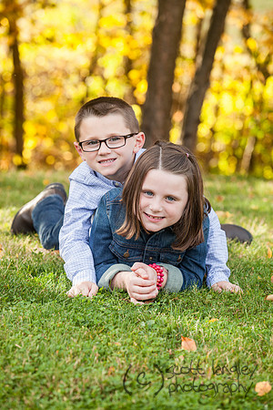 family2013-043