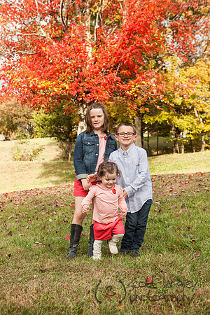 family2013-064