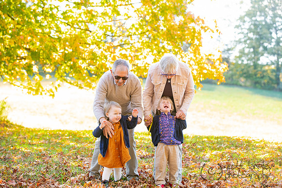 family2025--019