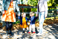 family2025--196