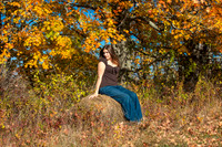Hay Bale