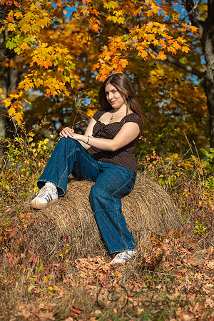 senior-203