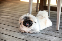 portraits2025-100