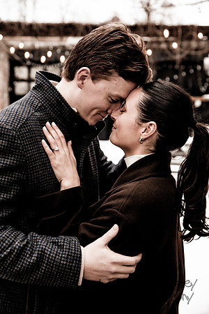 engagement-210