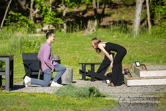 proposal-009