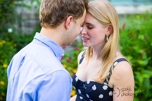 engagement-221