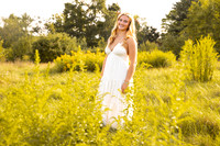 Field