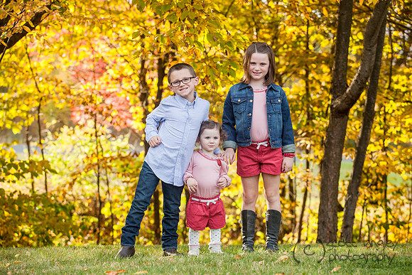 family2013-004