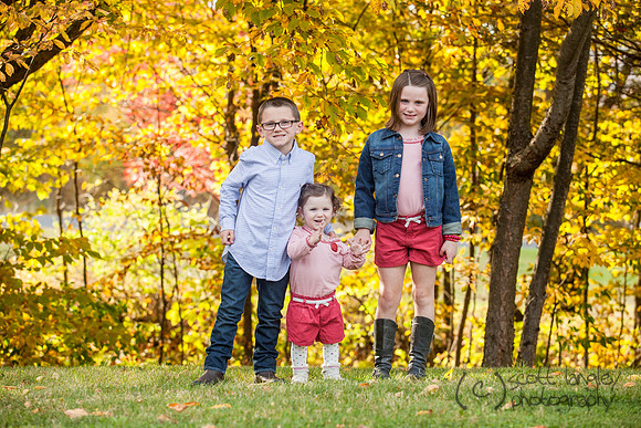 family2013-007