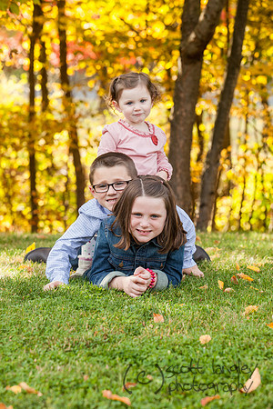 family2013-047