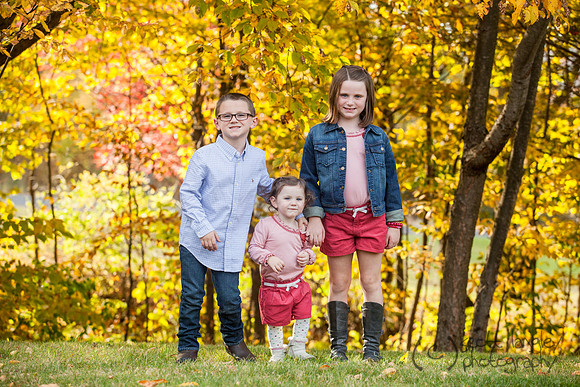 family2013-003