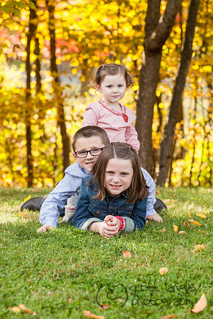family2013-046