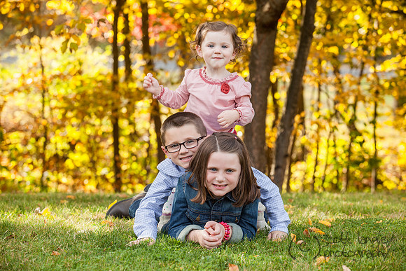 family2013-044