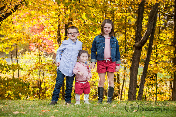 family2013-006