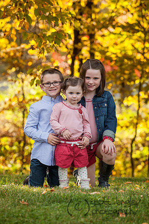 family2013-020