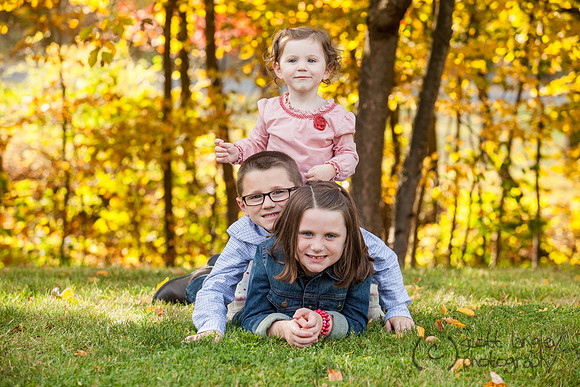 family2013-045