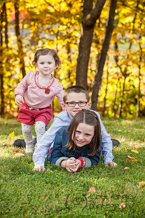 family2013-041