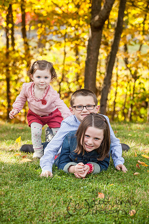 family2013-040