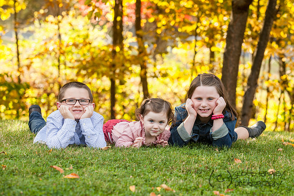 family2013-031