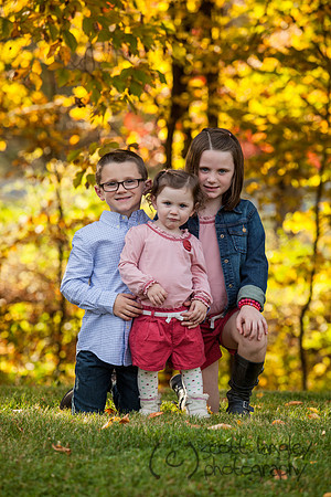 family2013-019