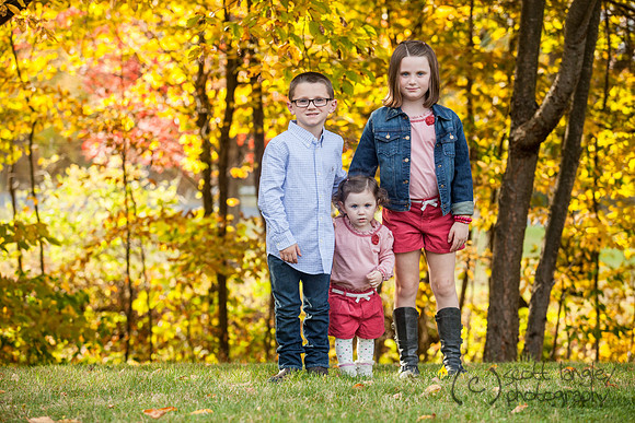 family2013-001
