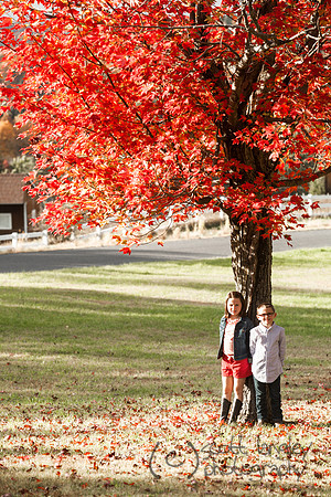 family2013-048