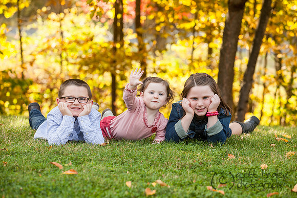 family2013-029