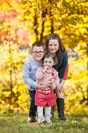 family2013-013