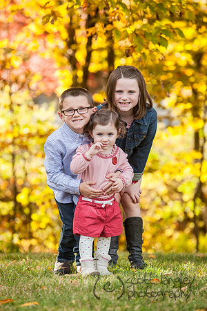 family2013-010