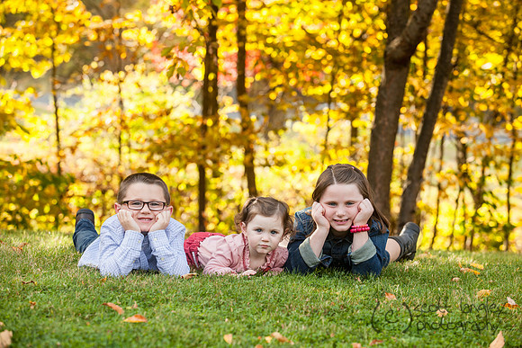 family2013-030