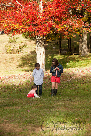family2013-049